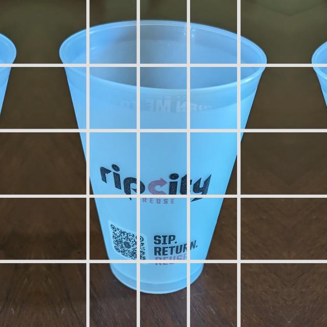 Dataset Image