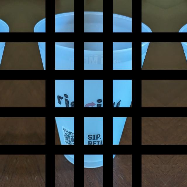 Dataset Image