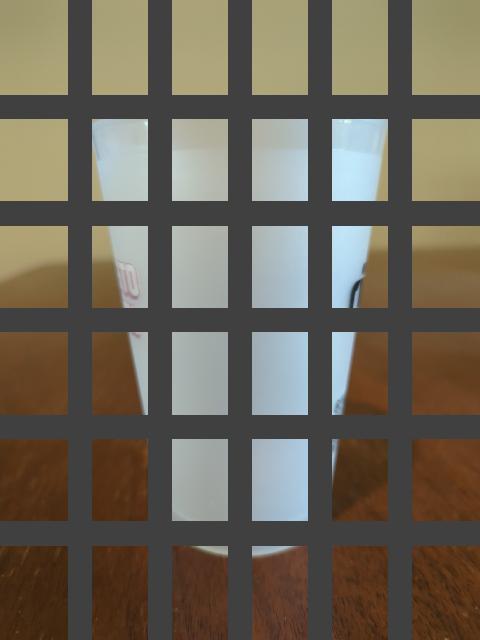 Dataset Image