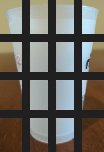 Dataset Image