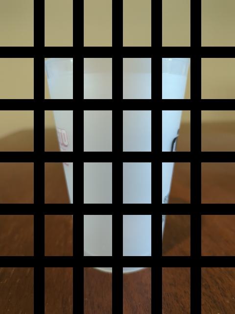 Dataset Image