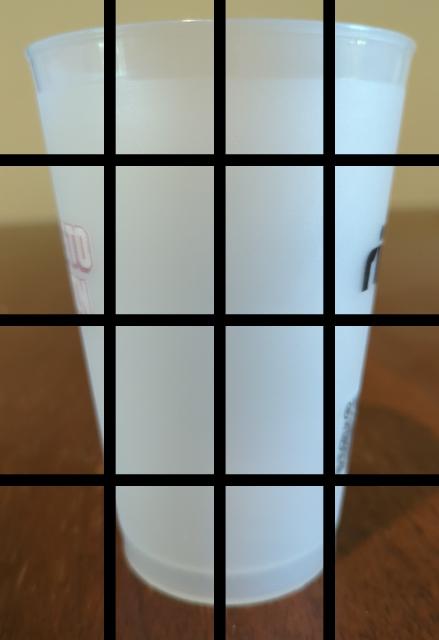 Dataset Image