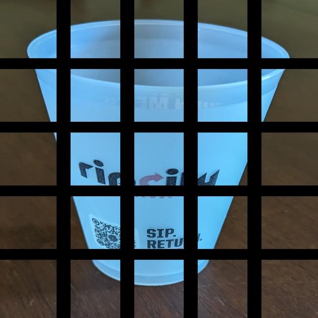 Dataset Image