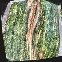 Corn Diseases Object Detection Dataset (v4, 50- null) by Corn Disease 6