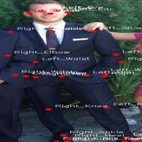 Dataset Image