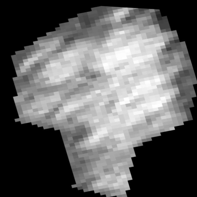 Dataset Image