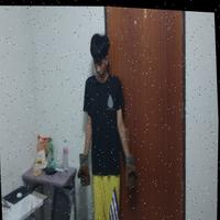 Dataset Image