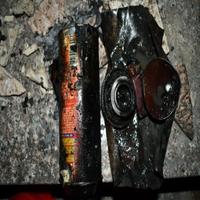 Dataset Image