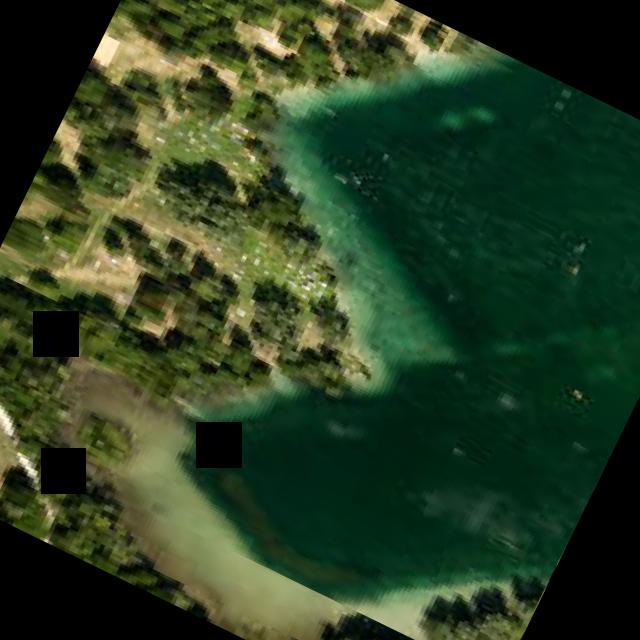 Dataset Image