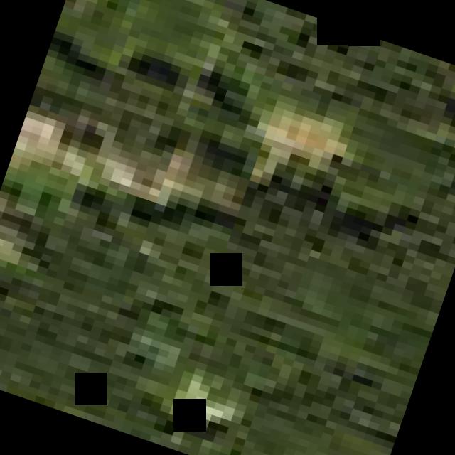 Dataset Image