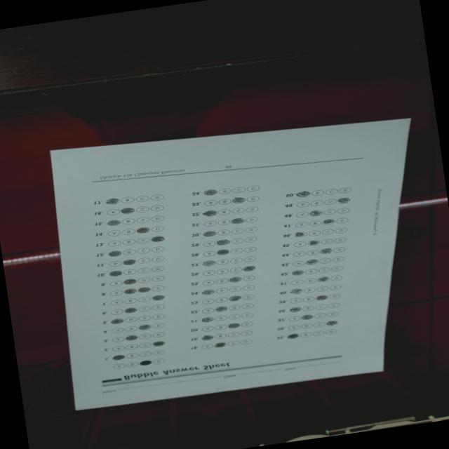 Dataset Image