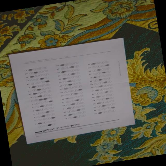 Dataset Image