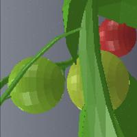 Dataset Image