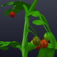 Dataset Image
