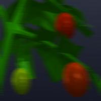Dataset Image