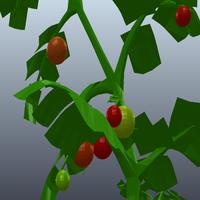 Dataset Image