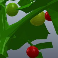 Dataset Image