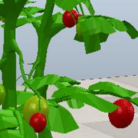 Dataset Image