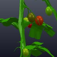 Dataset Image