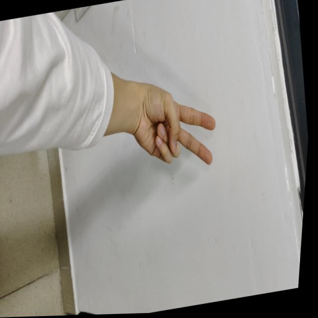 Dataset Image