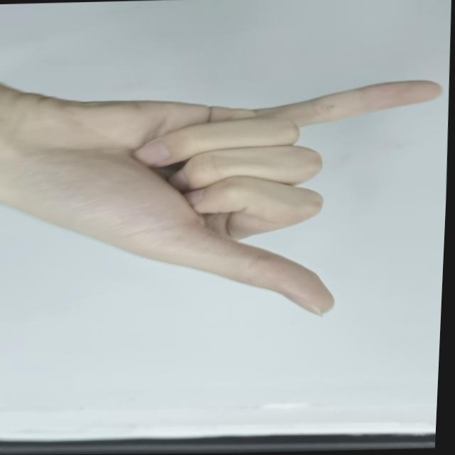 Dataset Image