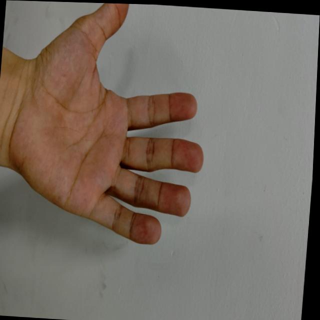 Dataset Image