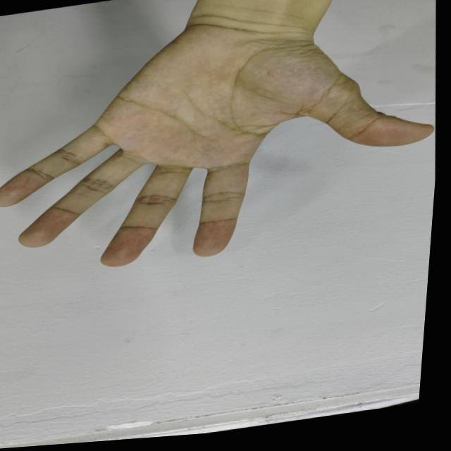 Dataset Image