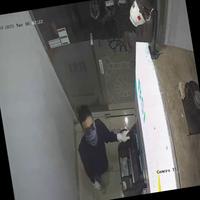 Dataset Image