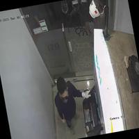 Dataset Image