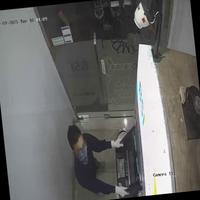 Dataset Image