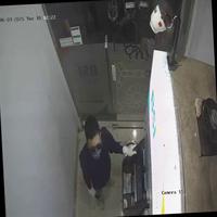 Dataset Image