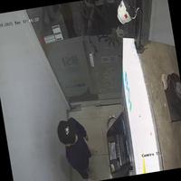Dataset Image