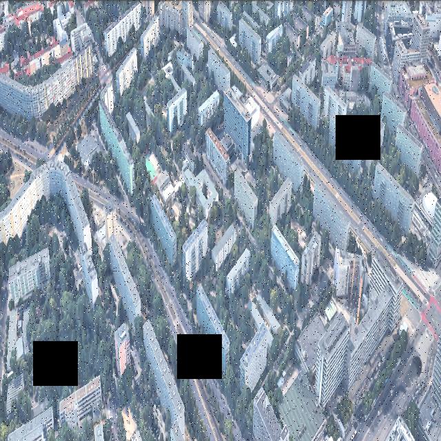 Dataset Image
