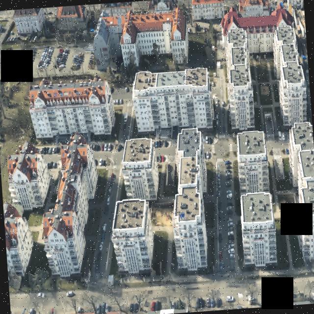 Dataset Image
