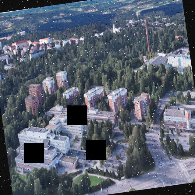 Dataset Image
