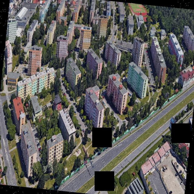 Dataset Image