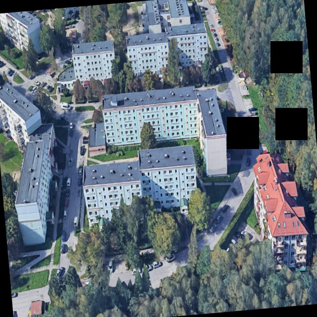 Dataset Image