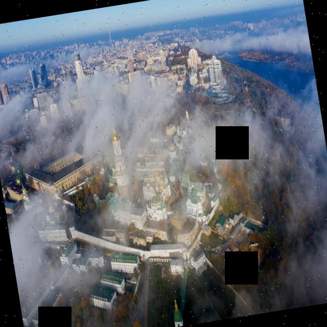 Dataset Image