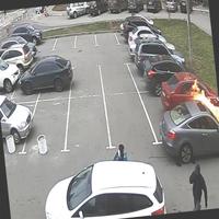 Dataset Image