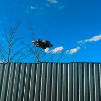 Dataset Image