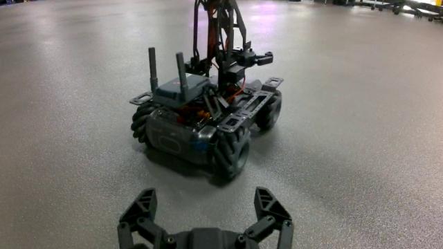 Dataset Image