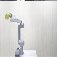 Dataset Image