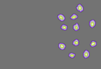 Annotation Visualization