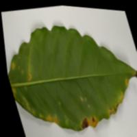 Dataset Image