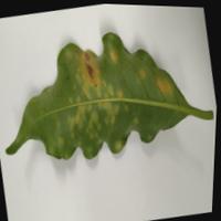 Dataset Image