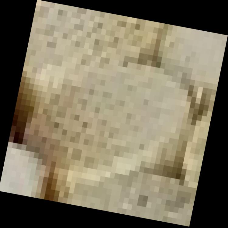 Dataset Image