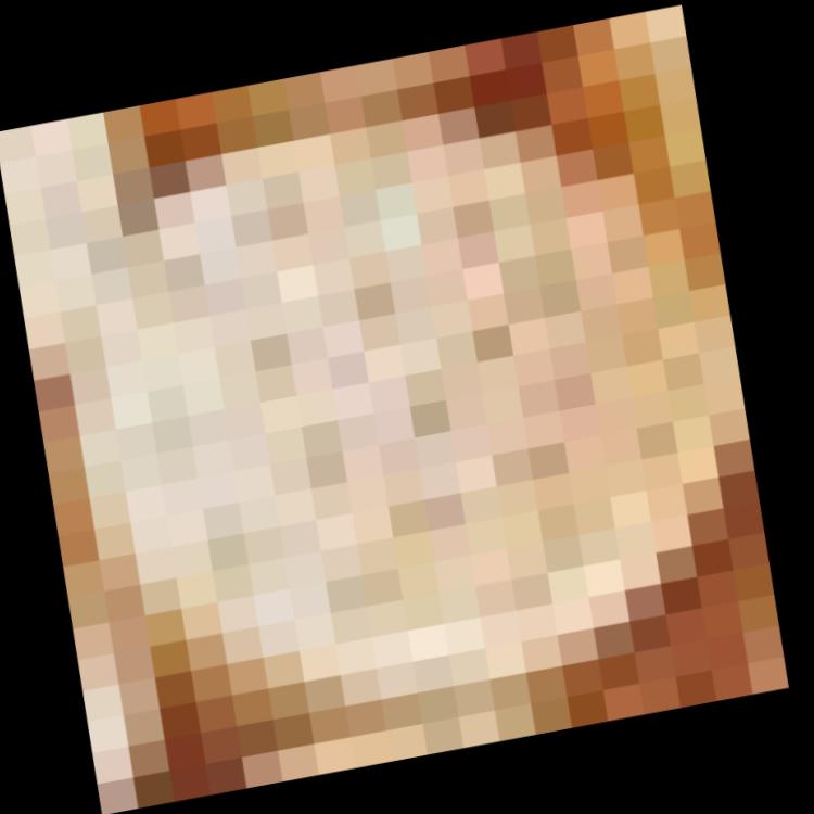 Dataset Image