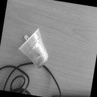 Dataset Image