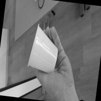Dataset Image
