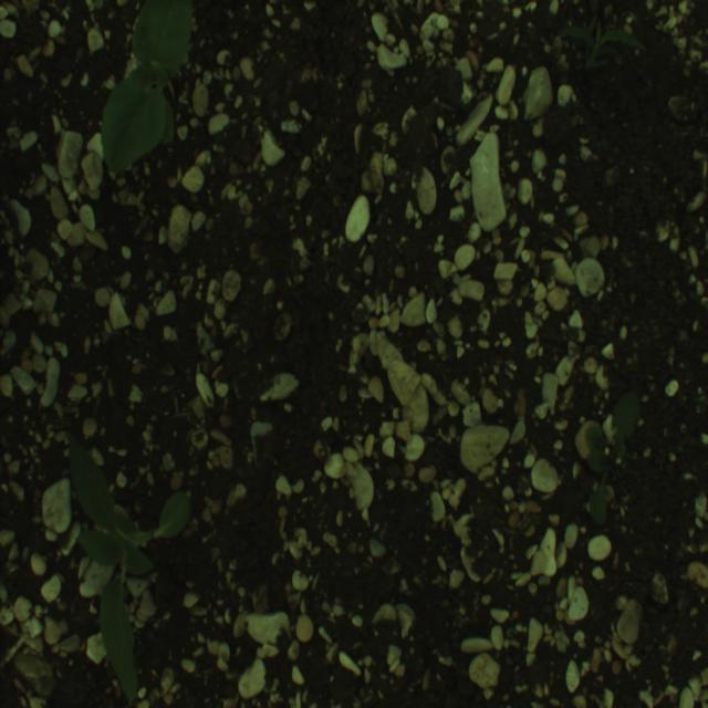 Dataset Image